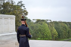 A soldier at the Tomb of the Unknown, which is dedicated to falling solders who's remains could not be identified.