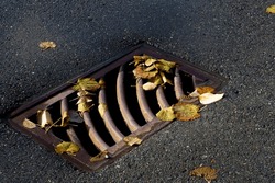 An old rusted storm drain lid covered in yellow and orange autumn leaves. 