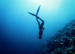 Freediver in wetsuit neoprene swim in the sea