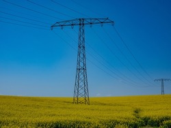 Power pole on a blooming rapeseed field