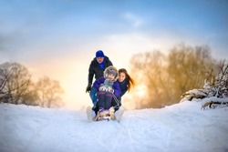 the happy family rides the sledge in the winter wood, cheerful winter entertainments, everything is covered with snow around