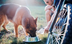 Young dog owner enjoying in the park with his pet. Dog drinking from water container. Pets and animals concept