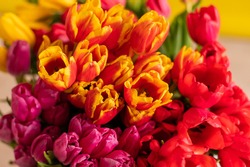 An armful of multi-colored tulips on a yellow background. A large bouquet for a woman on March 8. International Women's Day
