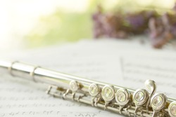 Flute, woodwind brass instrument in classical orchestra. Silver modern flute on white sheet music note for education and performance.