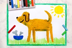 Colorful drawing: cut brown dog and bowl with bones