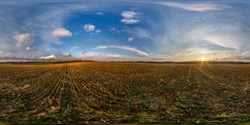 full seamless spherical hdr panorama 360 degrees angle view among fields in evening sunset with awesome blue pink red clouds in equirectangular projection, ready for VR AR virtual reality
