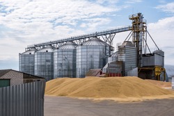 Modern Granary elevator. Silver silos on agro-processing and manufacturing plant for processing drying cleaning and storage of agricultural products, flour, cereals and grain. 