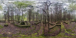spherical hdri panorama 360 near concrete foundation covered with moss in pine forest abandoned unfinished building and traces of ancient highly developed civilization in equirectangular projection.
