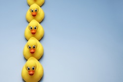  A row of yellow rubber ducks photographed on a blue background from a high camera angle. 