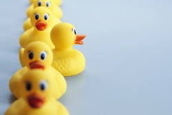 A row of yellow rubber ducks with one of the ducks facing in a different direction all the other duck are facing. The focus is on the duck facing in a different direction.