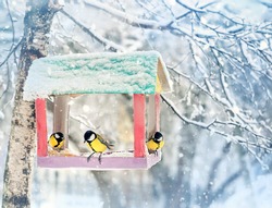 birds on feeder in winter garden, snowy natural background. Tit birds (parus major) eating seeds from bird feeder. cold winter season. problem of survival of birds. human care of wild nature