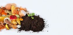 Compost from fruits, vegetable scraps and plant sprout in ground. waste for recycling. Food waste, Environmentally responsible behavior concept. copy space