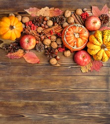 autumn composition. pumpkins, cones, berries, apples, nuts, cinnamon on wooden table background. symbol of fall season. harvest, thanksgiving concept. flat lay. copy space
