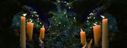 magic burning candles in fabulous Night forest natural Background. mysterious fairy scene. witchcraft ritual. fall season. Samhain, Halloween holiday concept. banner. copy space