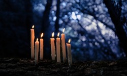 magic candles in fabulous Night forest. mysterious fairy scene. witchcraft ritual. dark natural Background. Samhain, Halloween holiday concept