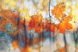 autumn background. autumn leaves on rainy glass texture, bright abstract natural backdrop. concept of fall season.  rainy day weather