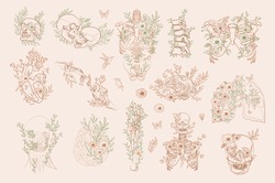 Set of Vintage Floral Anatomy elements in one line. Human skeleton and inner organs with flowers and leaves. Editable vector illustration.