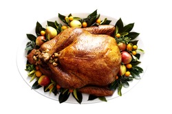 Cooked & Plated Turkey with Garnishes on a Plate. Top-view, flat-lay, isolated on white background. 