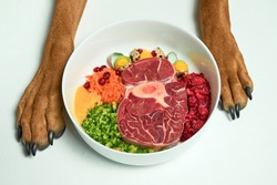Natural Raw organic dog food in bowl and dogs paws on white background. BARF dog diet. Raw meat, eggs, vegetables.