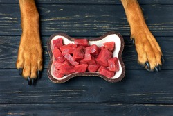 Bowl of fresh raw meat for dog. 