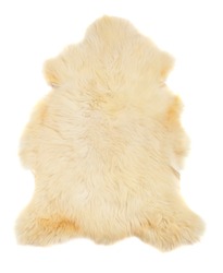 Animal fur on a white background.
