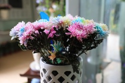 Multicoloured happy chrysanthemum and multicoloured chrysanthemum