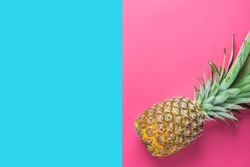 Ripe Pineapple with Bushy Green Leaves on Split Duotone Pink Blue Background. Summer Vacation Travel Tropical Fruits Vitamins Fashion Concept. Funky Style Neon Colors. Flat Lay Copy Space