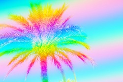 Feathery palm tree on sky background toned in rainbow neon colors. Surrealistic funky style. Copy Space for Text. Tropical beach vacation wanderlust. Card poster flyer party invitation template