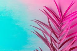 Big fresh palm leaf on duotone purple violet blue background. Trendy neon colors. Toned. Minimalist style. Contemporary unique creative image poster streamer design template. Tropical theme