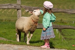 A girl and a sheep