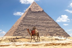 Bedouin on camel near Pyramid of Khafre or of Chephren in Giza, Egypt