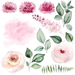 Watercolor pink roses flowers and green garden leaves illustration isolated. Romantic floral Elements for wedding stationary, greetings cards. Botanical clipart