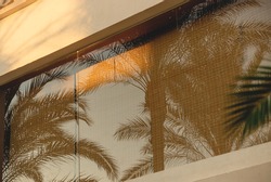 Reflection of branches of palm trees in the windows of a light building in a tropical country. Sunny day, travel lifestyle.