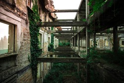 Inside ruined building overgrown by plants. Nature and abandoned architecture, green post-apocalyptic concept