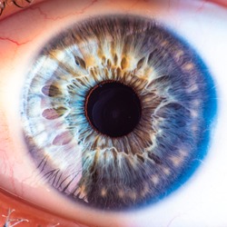 blue eye with amazing details inside