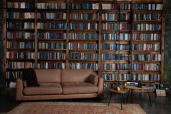 Bookshelves in the library. Large bookcase with lots of books. Sofa in the room for reading books. Library or shop with bookcases. Cozy book background. Bookish, bookstore, bookshop. 