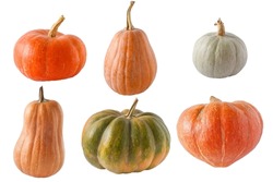 Set of different pumpkins isolated on a white background. Different varieties. Orange, green and gray pumpkin. Autumn harvest. Halloween and Thanksgiving food.