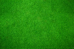 Green grass background vignette or the green nature wall texture Ideal for use in the design fairly.