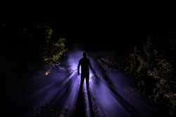 Silhouette of person standing in the dark forest with light. Horror halloween concept. strange silhouette in a dark spooky forest at night