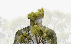 Double exposure silhouette head portrait of a thoughtful man combined with photograph of forest landscape. Ecology, freedom, environment