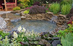 The pond area in an aquatic garden with planted rockery and waterfalls creating a water feature
