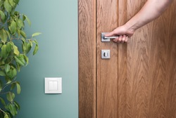Open the door. Hand on door handle. Close - up elements of the interior of a beautiful apartment. The white switch on the green wall. Houseplant