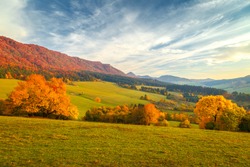 Landscape with a trees in autumn colors, National Nature Reserve Sulov Rocks, Slovakia, Europe.