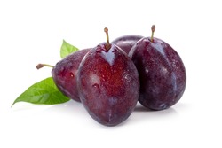 Plums plum prunes prune leaves fruits fruit isolated on a white 