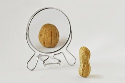 Peanut looking in the mirror and seeing itself as a walnut - Concept of dysmorphobia, anorexia, distorted self-image