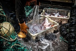 fisherman washing fish on deck of a fishing trawler
