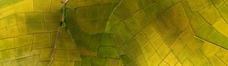  Rice Terrace Aerial Shot. Image of beautiful terrace rice field in Chiang Mai Thailand . Top view landscape. 