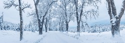 Country road in the natural park in winter day. Beautiful panoramic view.