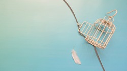 A small empty metal bird cage with its door opened and chain unwind. A single white feather is placed next to the cage.
