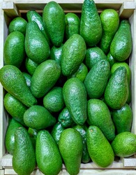 Selected ripe avocado boxes. boxes of avocado. Daylight. View from above. horizontal